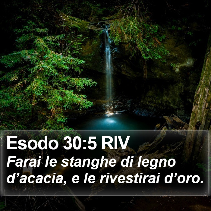 Esodo 30:5 RIV Bible Study