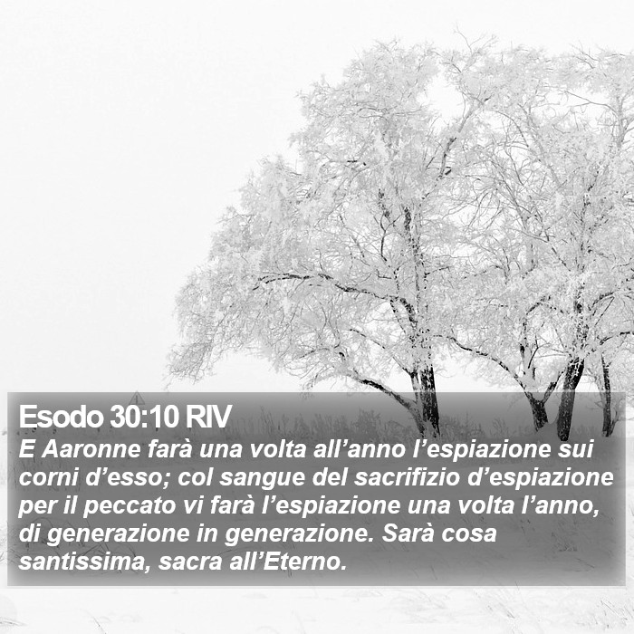 Esodo 30:10 RIV Bible Study