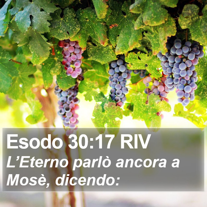 Esodo 30:17 RIV Bible Study