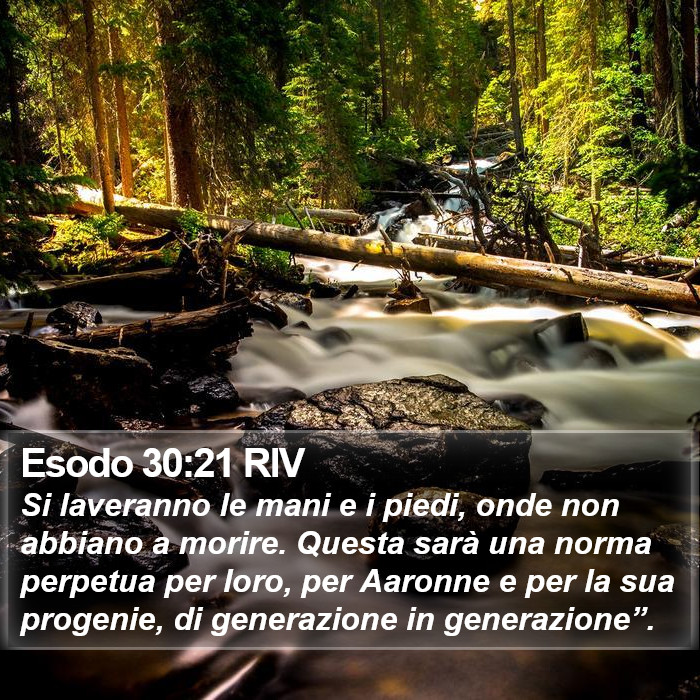 Esodo 30:21 RIV Bible Study