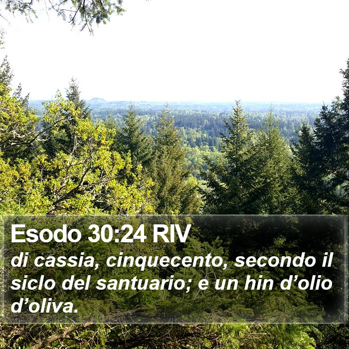 Esodo 30:24 RIV Bible Study