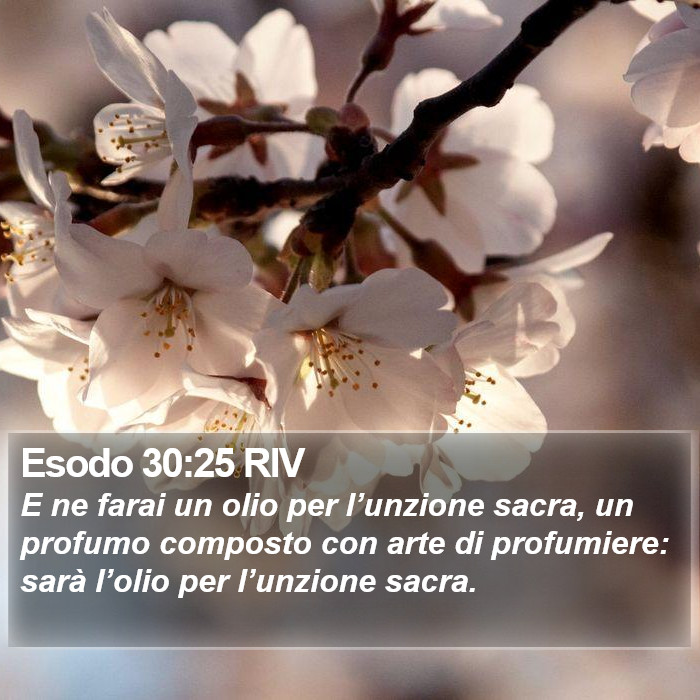 Esodo 30:25 RIV Bible Study