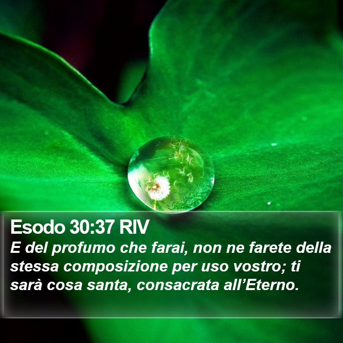 Esodo 30:37 RIV Bible Study