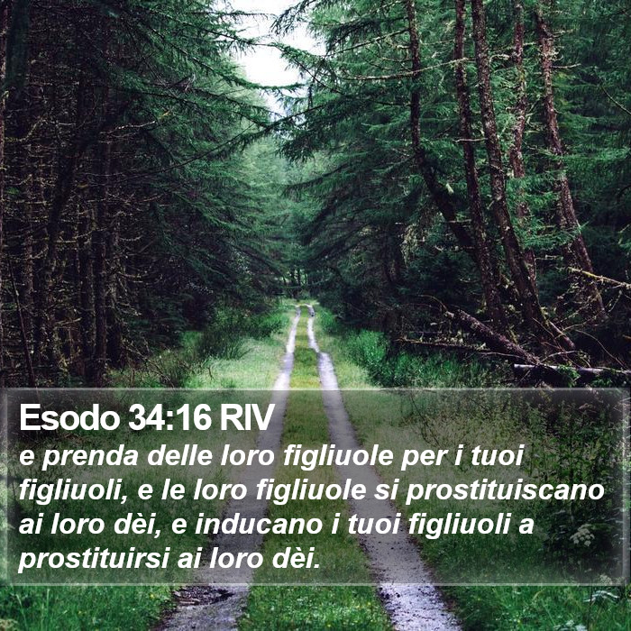 Esodo 34:16 RIV Bible Study