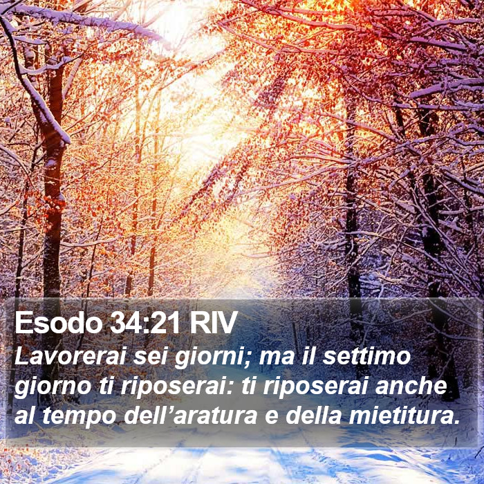 Esodo 34:21 RIV Bible Study