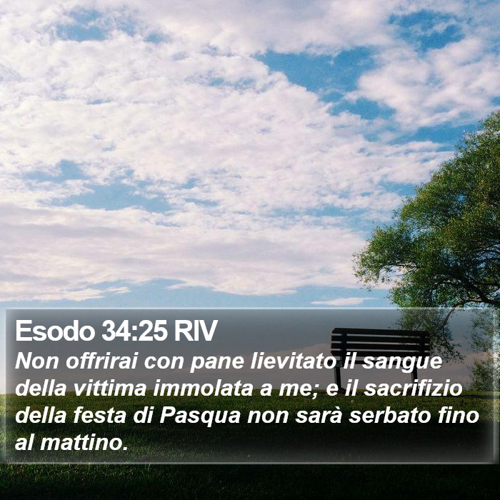 Esodo 34:25 RIV Bible Study