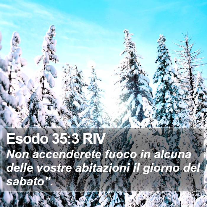Esodo 35:3 RIV Bible Study