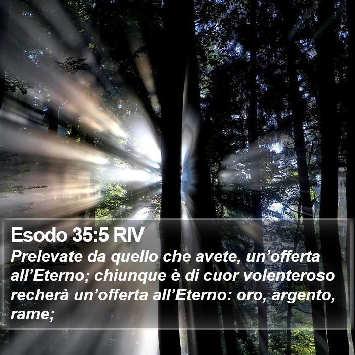 Esodo 35:5 RIV Bible Study