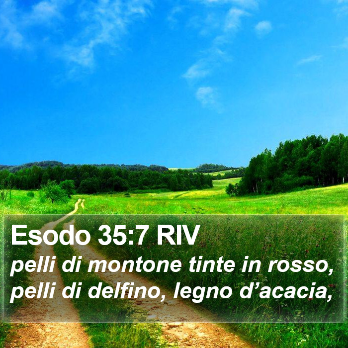 Esodo 35:7 RIV Bible Study