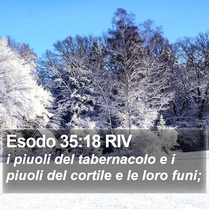 Esodo 35:18 RIV Bible Study