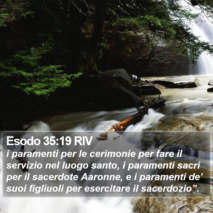 Esodo 35:19 RIV Bible Study
