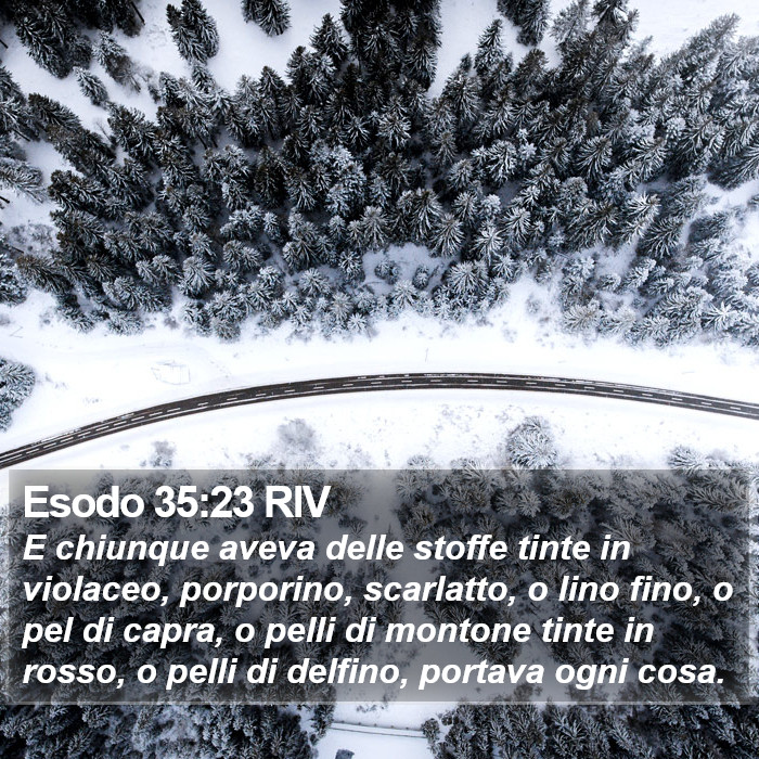 Esodo 35:23 RIV Bible Study