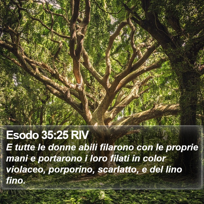 Esodo 35:25 RIV Bible Study