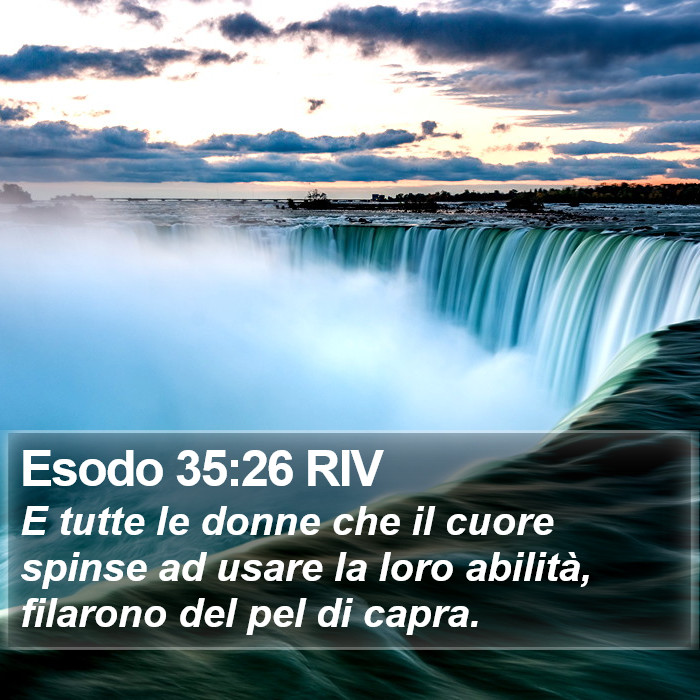 Esodo 35:26 RIV Bible Study