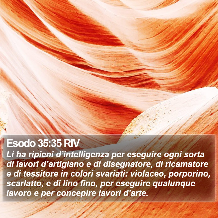 Esodo 35:35 RIV Bible Study