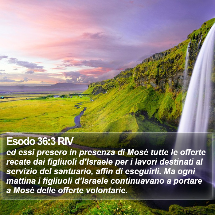 Esodo 36:3 RIV Bible Study