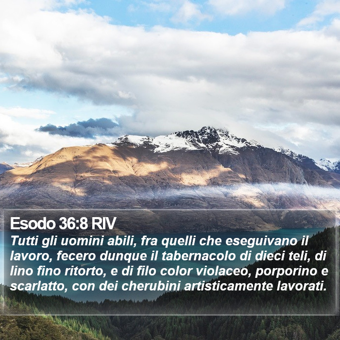 Esodo 36:8 RIV Bible Study