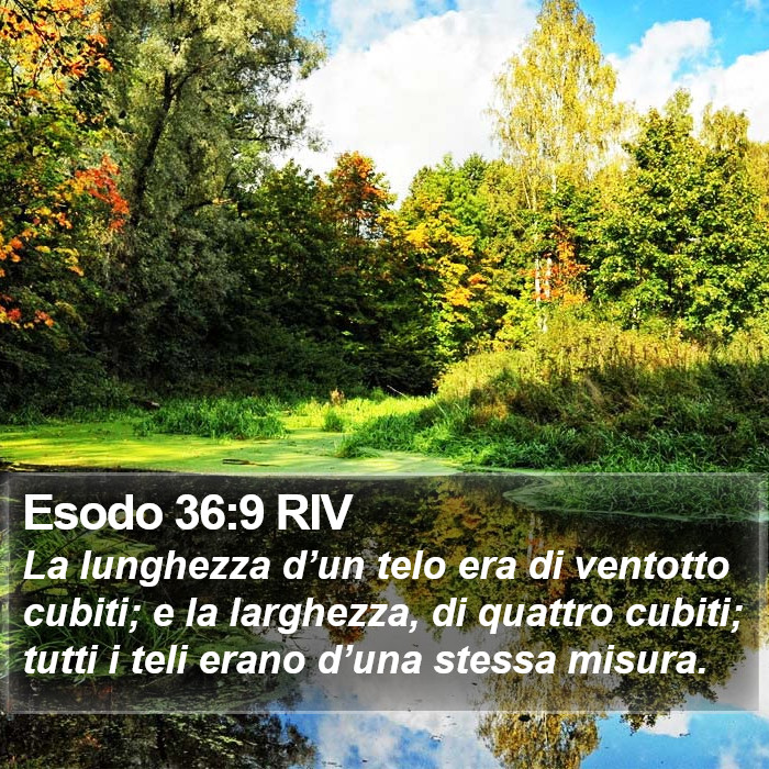 Esodo 36:9 RIV Bible Study