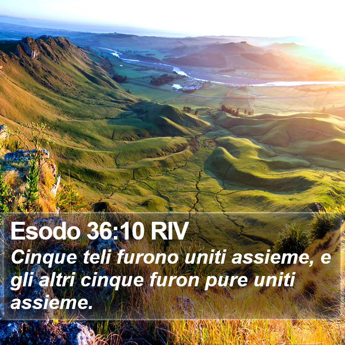Esodo 36:10 RIV Bible Study
