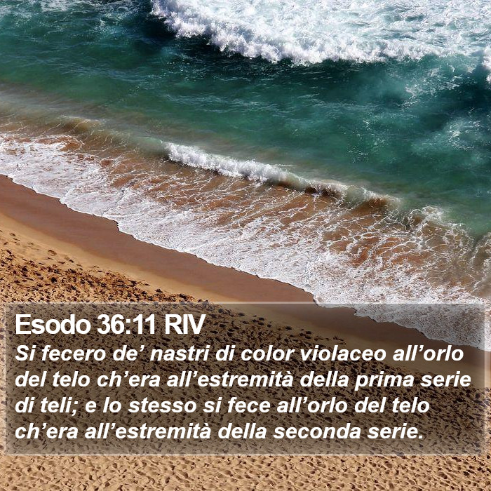 Esodo 36:11 RIV Bible Study