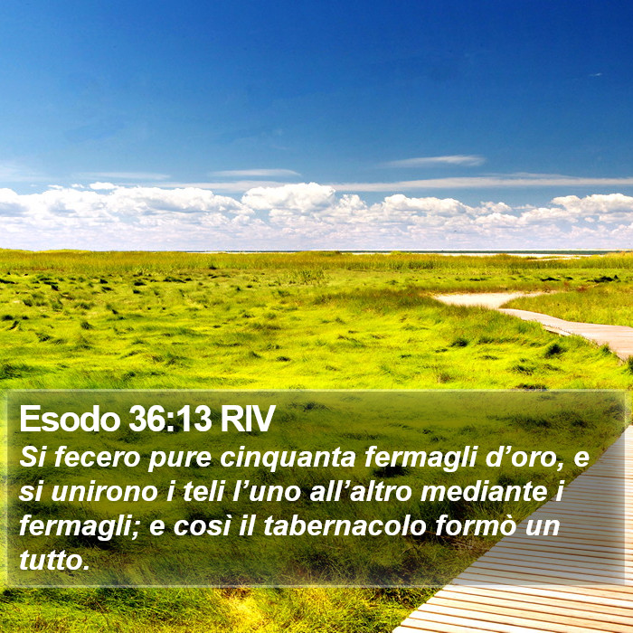 Esodo 36:13 RIV Bible Study