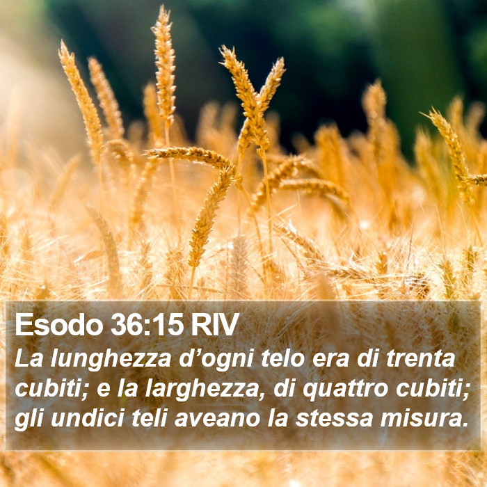 Esodo 36:15 RIV Bible Study