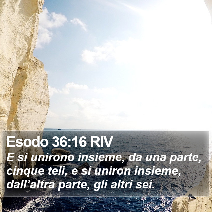 Esodo 36:16 RIV Bible Study