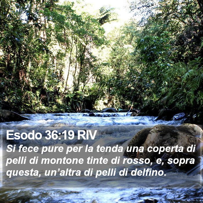 Esodo 36:19 RIV Bible Study