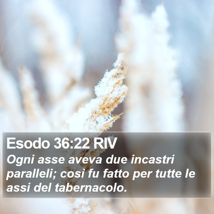 Esodo 36:22 RIV Bible Study