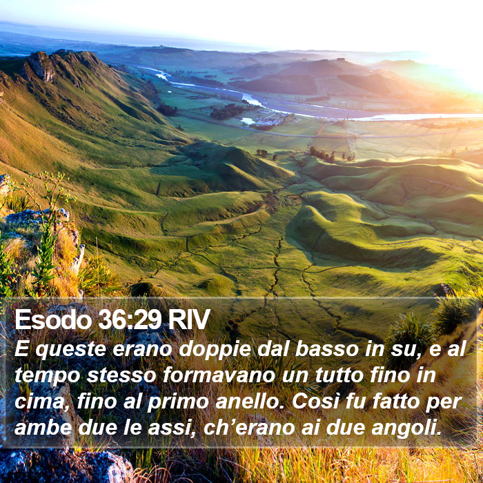 Esodo 36:29 RIV Bible Study