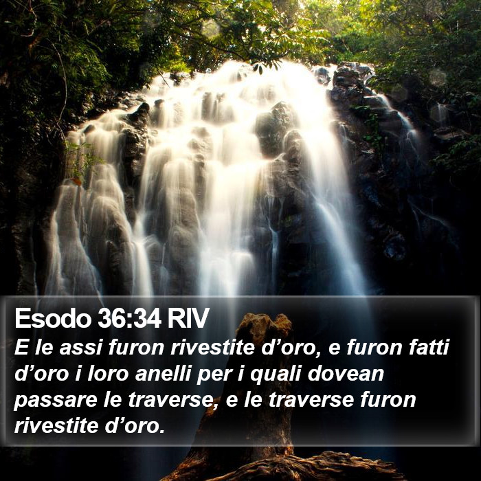 Esodo 36:34 RIV Bible Study
