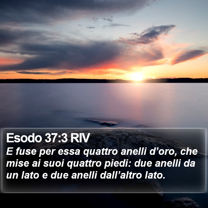 Esodo 37:3 RIV Bible Study