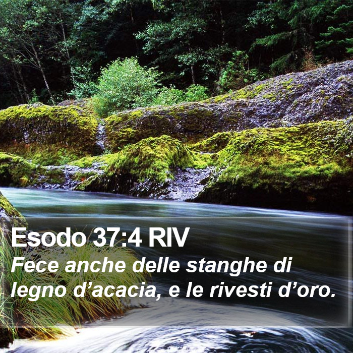 Esodo 37:4 RIV Bible Study