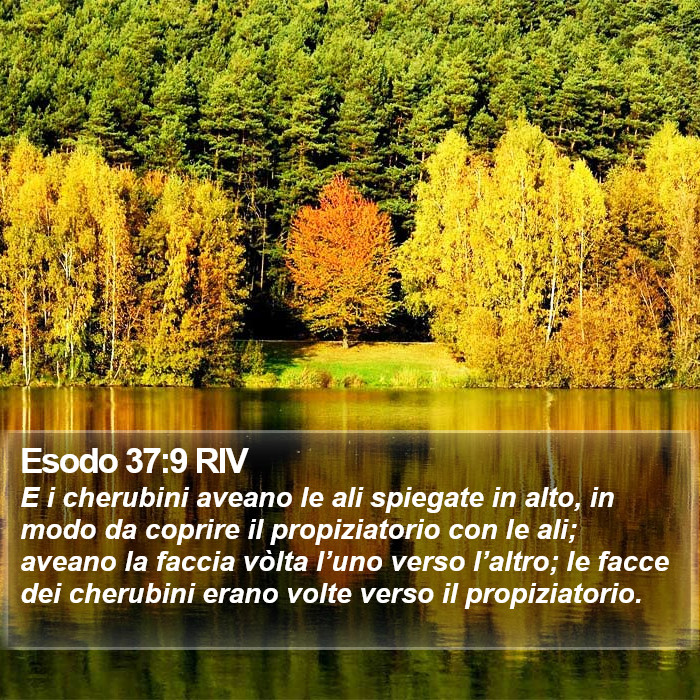 Esodo 37:9 RIV Bible Study