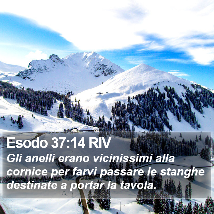 Esodo 37:14 RIV Bible Study