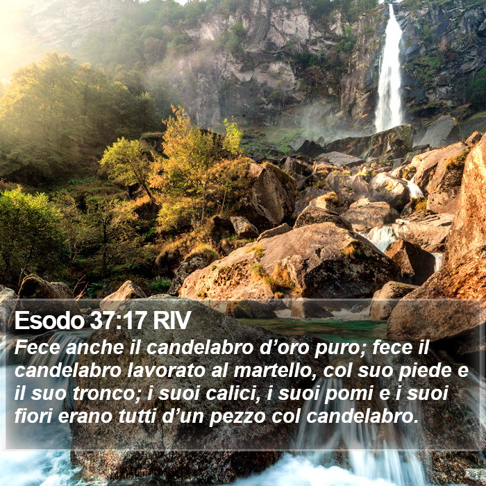 Esodo 37:17 RIV Bible Study