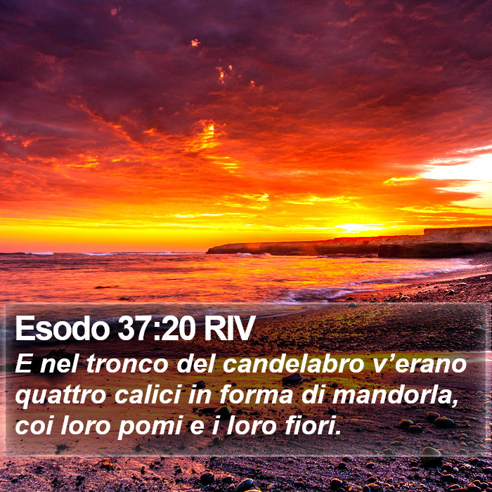 Esodo 37:20 RIV Bible Study