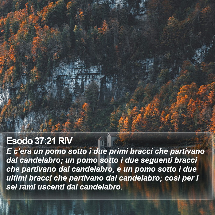 Esodo 37:21 RIV Bible Study