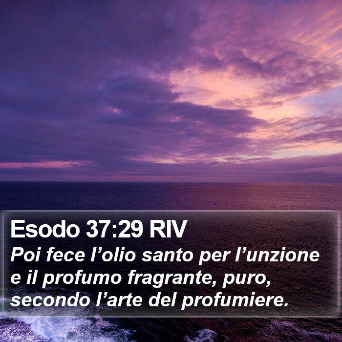 Esodo 37:29 RIV Bible Study