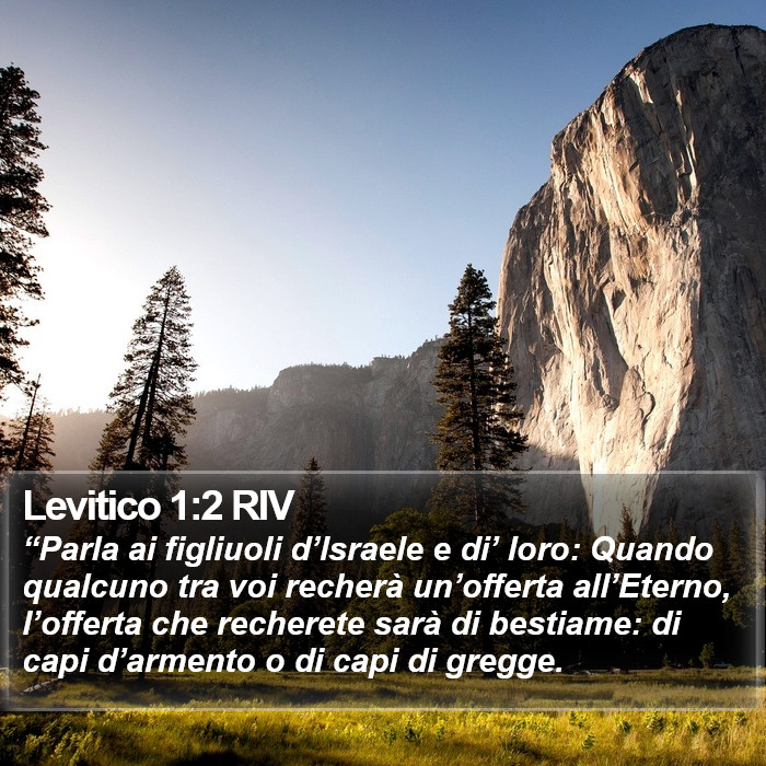 Levitico 1:2 RIV Bible Study