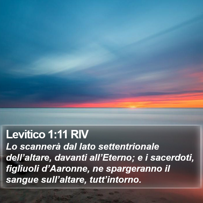 Levitico 1:11 RIV Bible Study