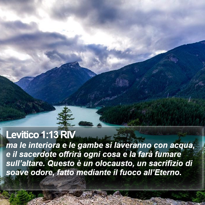 Levitico 1:13 RIV Bible Study
