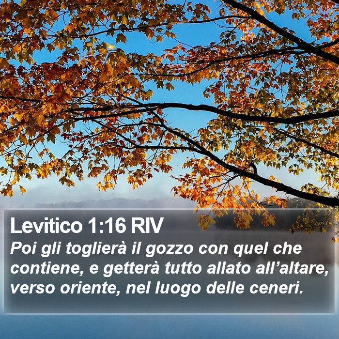 Levitico 1:16 RIV Bible Study