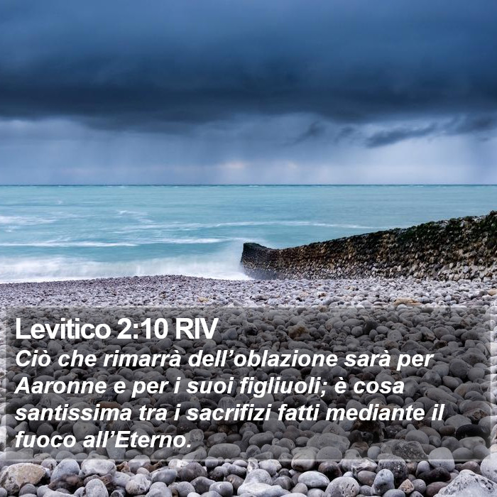 Levitico 2:10 RIV Bible Study
