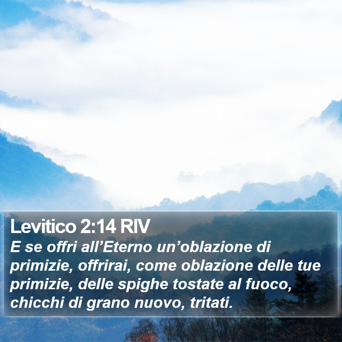 Levitico 2:14 RIV Bible Study