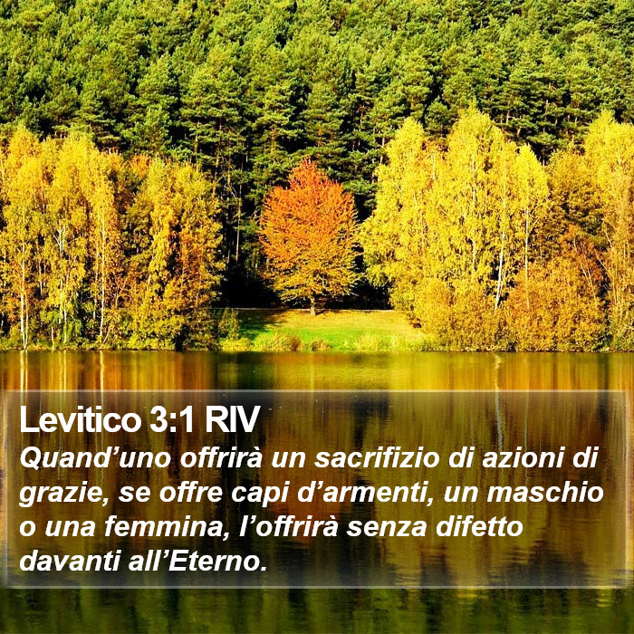 Levitico 3:1 RIV Bible Study