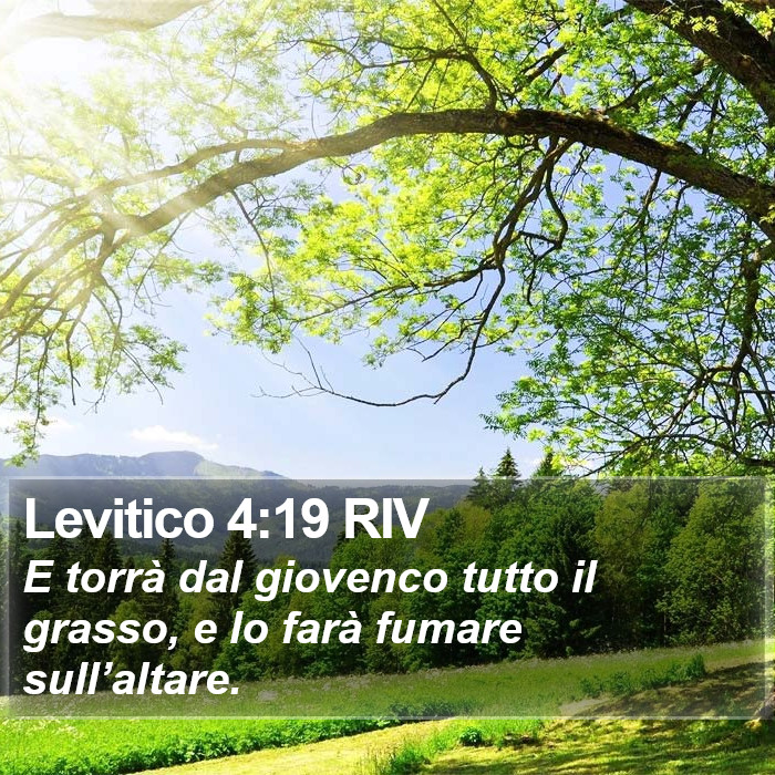 Levitico 4:19 RIV Bible Study