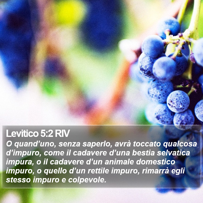 Levitico 5:2 RIV Bible Study