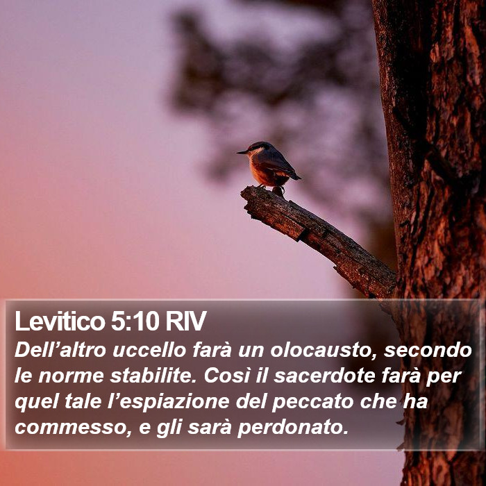 Levitico 5:10 RIV Bible Study