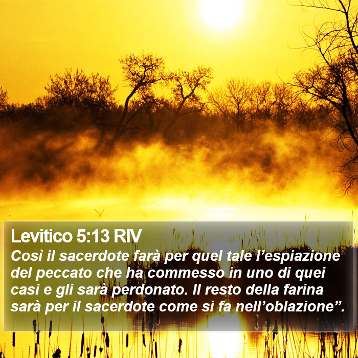 Levitico 5:13 RIV Bible Study